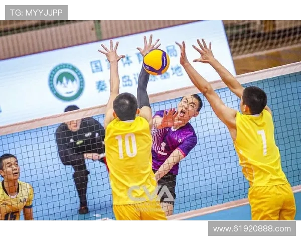 排球盛宴:深入解析上海排球队员的独特技能与战术配合
